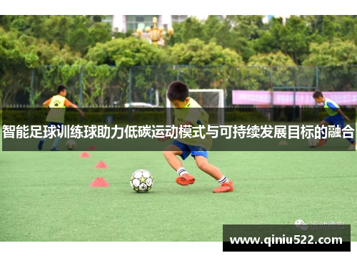 智能足球训练球助力低碳运动模式与可持续发展目标的融合